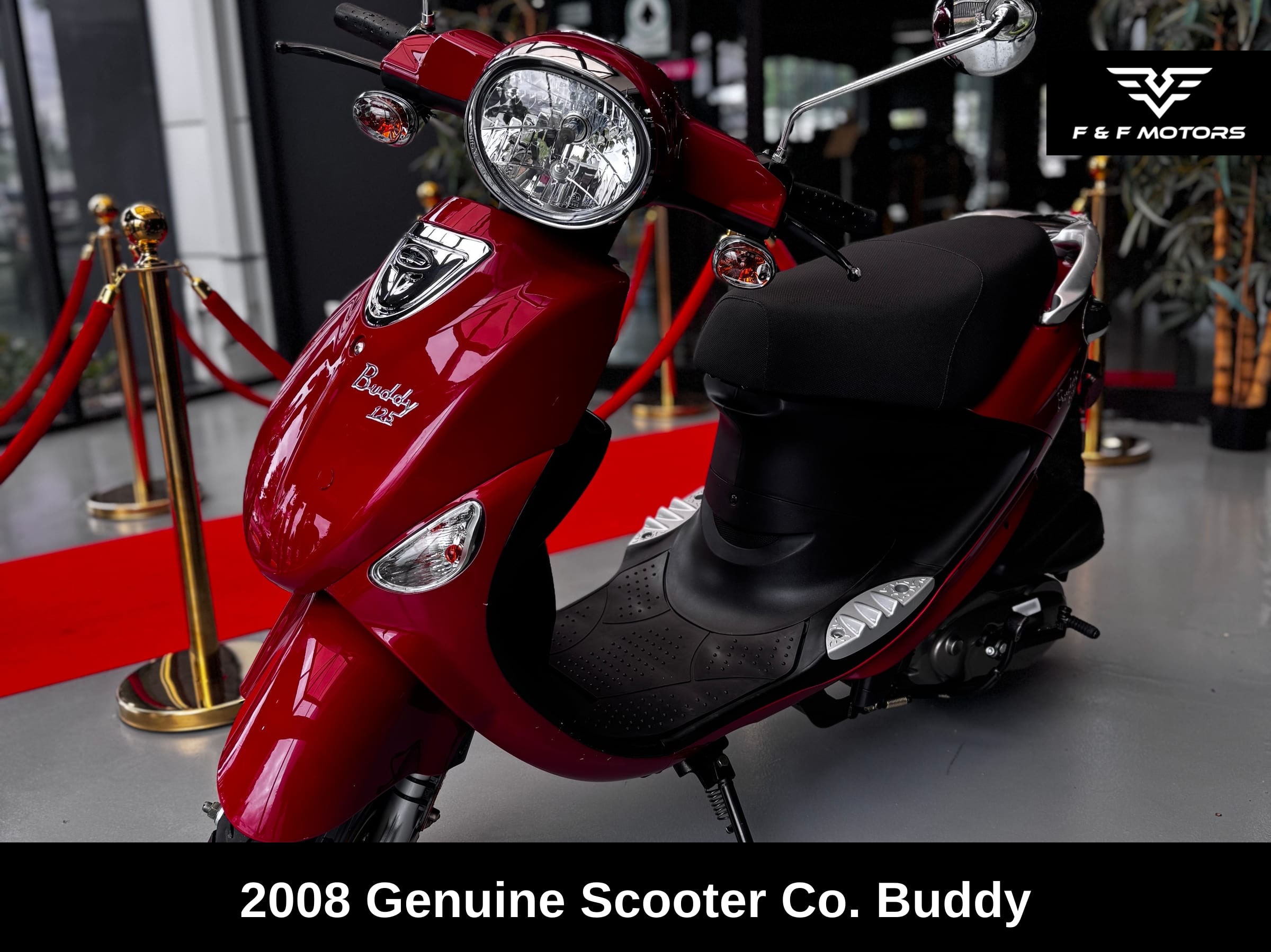 2008 Genuine Scooter Co. Buddy 125