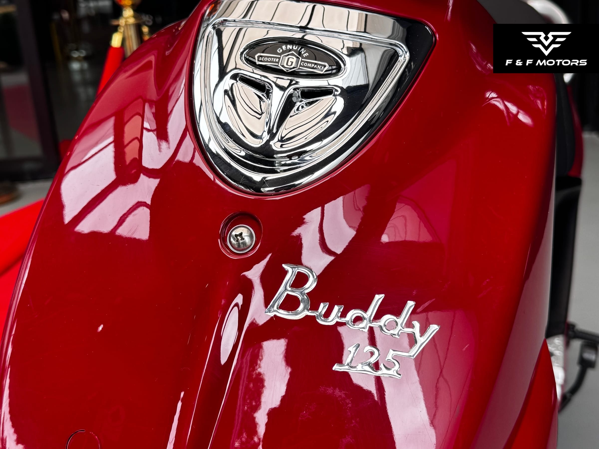 2008 Genuine Scooter Co. Buddy 125 — Damage